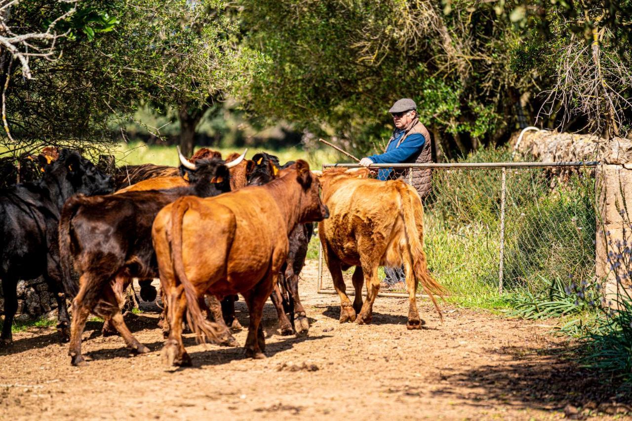 Finca Agroturismo Son Menut Fenalitx  Exterior foto
