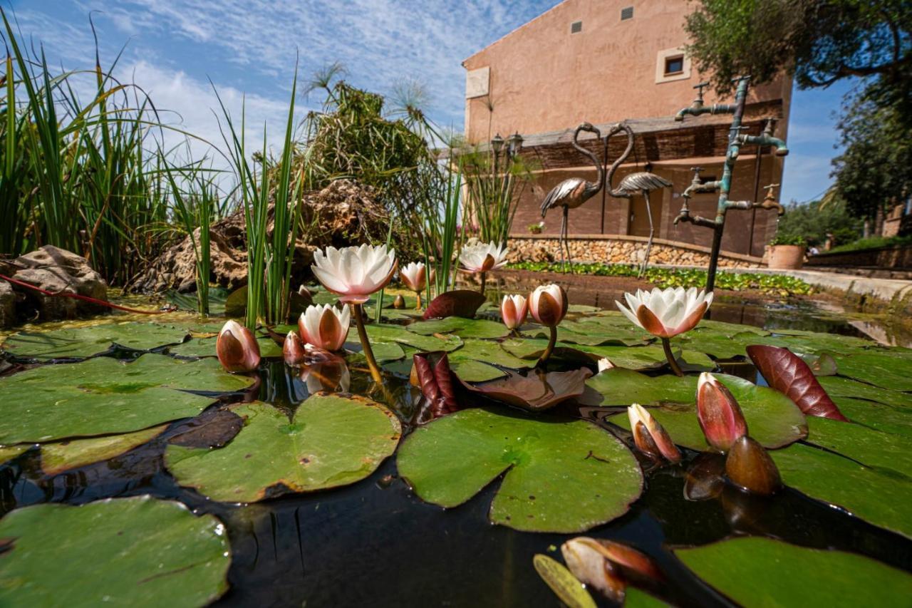 Finca Agroturismo Son Menut Fenalitx  Exterior foto