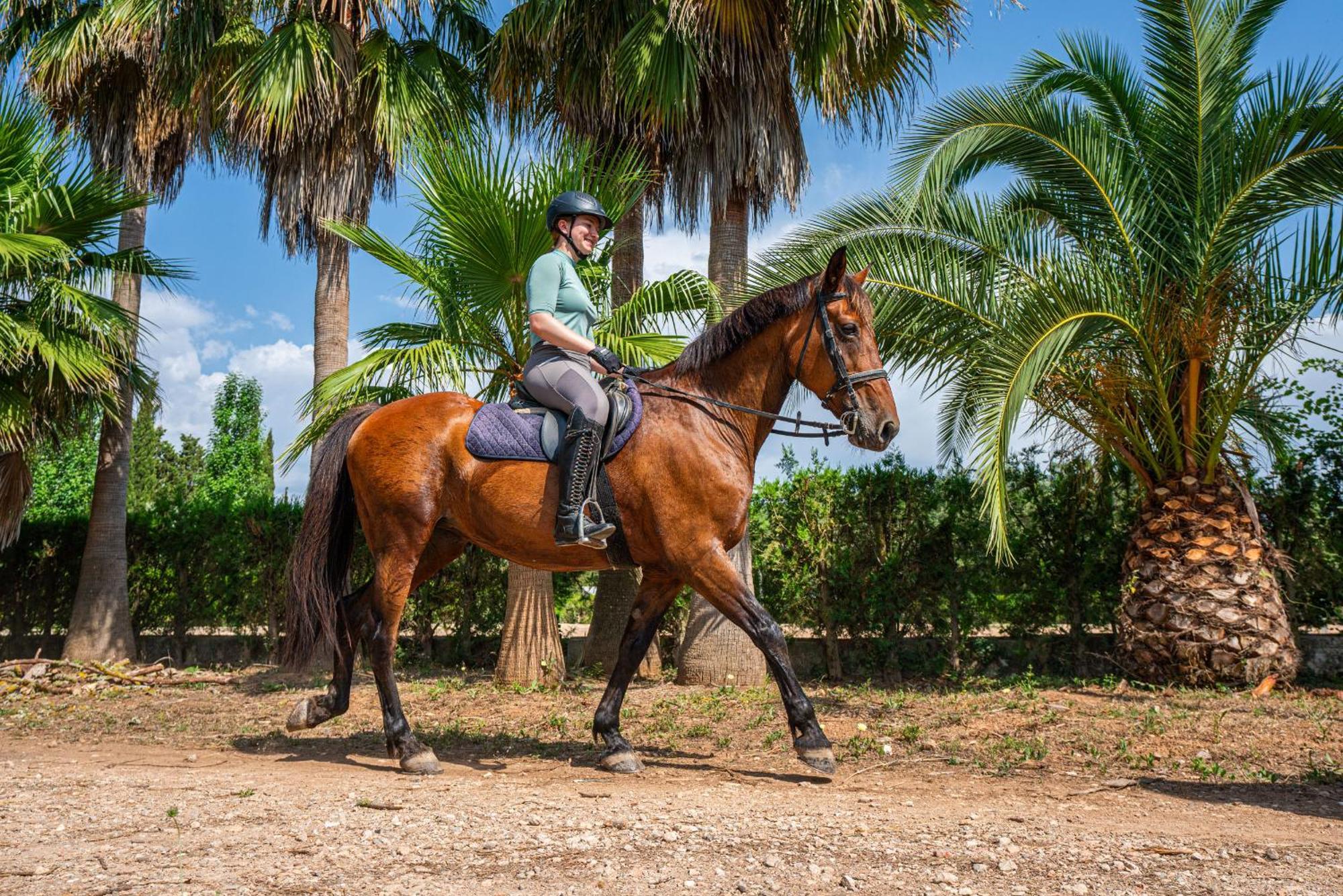 Finca Agroturismo Son Menut Fenalitx  Exterior foto